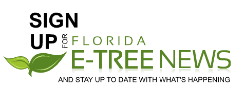 FLORIDA E-TREE NEWS