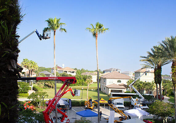 Outside Exhibitors TF 2025